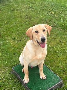 76891851553__315B58FA-D9E4-425E-AD3B-F6F68FA52288 2.HEIC