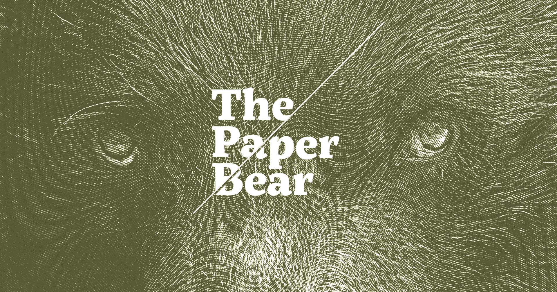thepaperbear.org