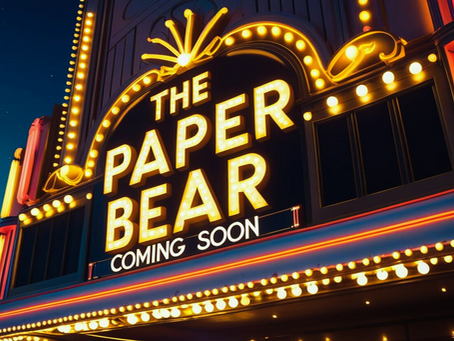 Thank You for Supporting The Paper Bear — Here’s What’s Next