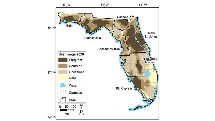 The Black Bear Range
