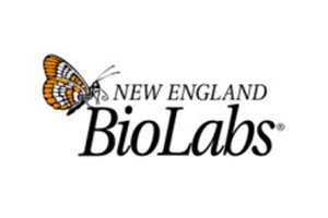 NEB (New England Biolabs)
