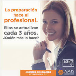 Agente_profesional_cada_3_años