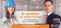 agente profesional