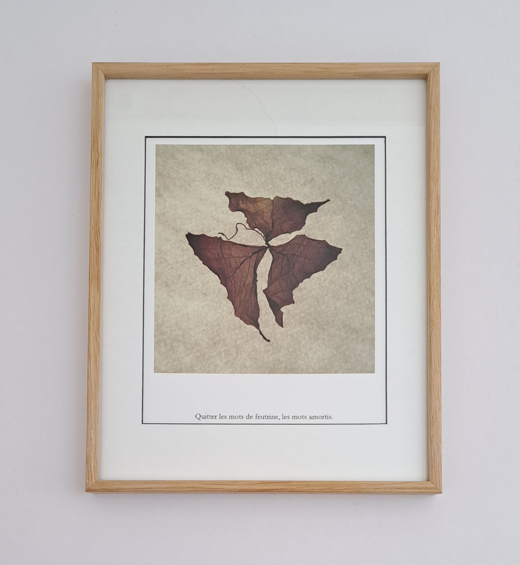 Photopoésie- Quitter les mots de feutrine, les mots amortis