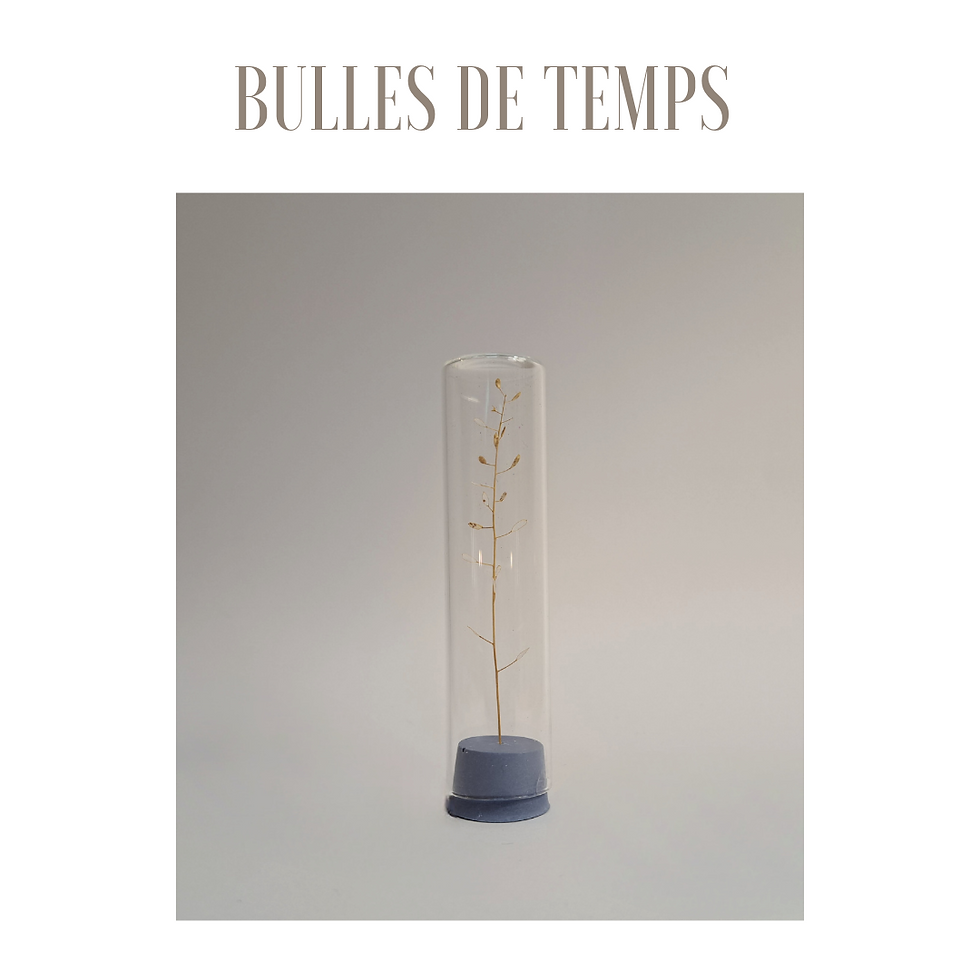 Bulles de temps -2-