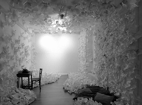 Installation Floriane Durey