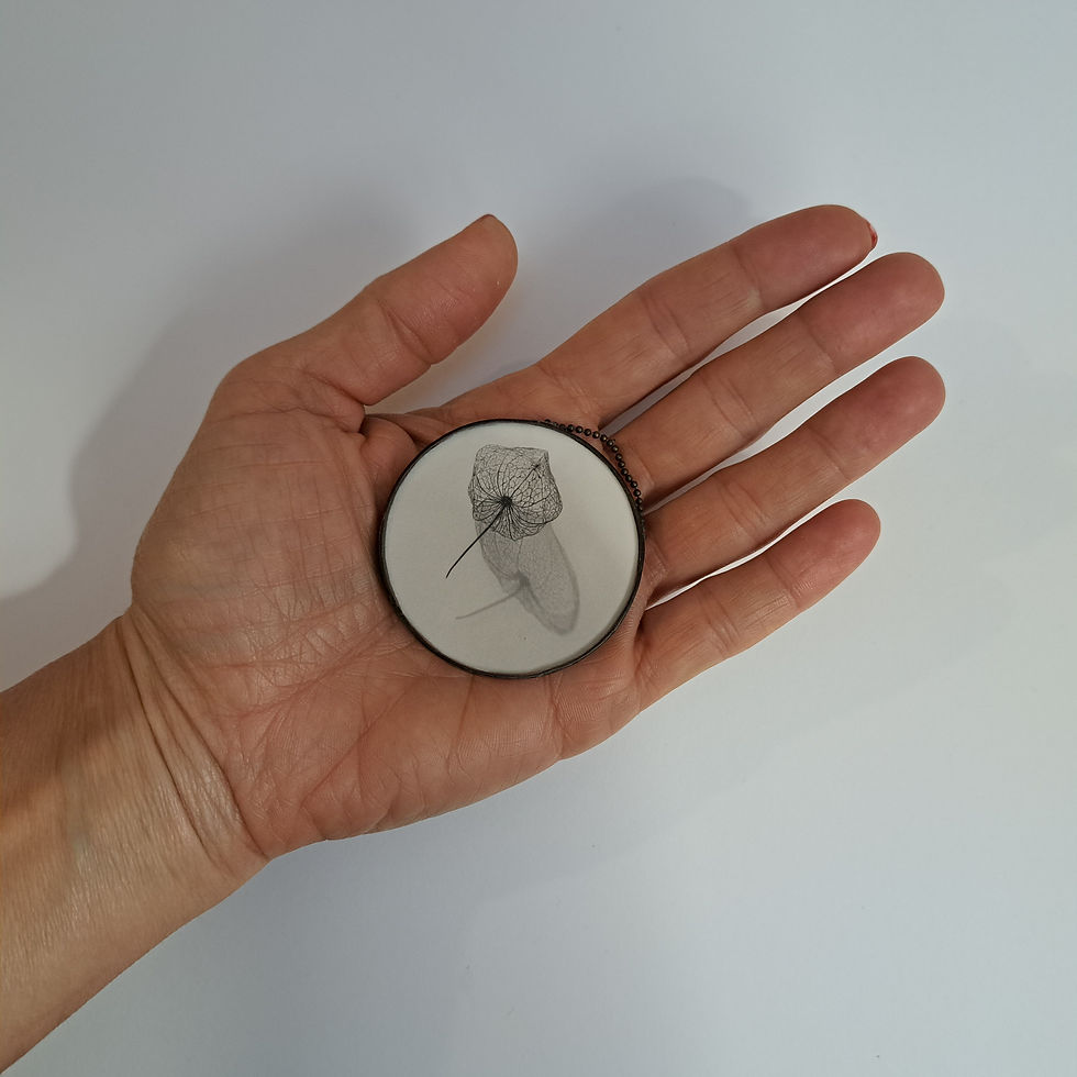 Miniature : Physalis noir et blanc