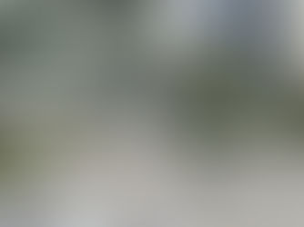 Árboles derribados por el viento: la fuerza del tifón Kajiki provoca una evacuación masiva en Vietnam