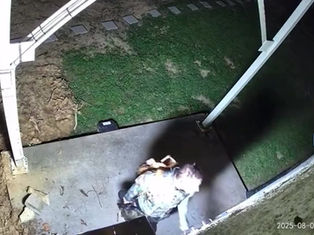 Videos de vigilancia muestran al sospechoso de un cuádruple homicidio en Tennessee