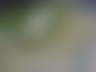 Una intensa tormenta arranca el techo de una prisión