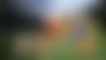 ¿Por qué cada Mundial tiene una mascota oficial?