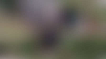 Agentes de la Patrulla Fronteriza arrestan a un inmigrante indocumentado y a dos ciudadanos estadounidenses