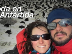 Una pareja argentina se casó en la Antártida, el lugar en el que nació su amor hace 12 años