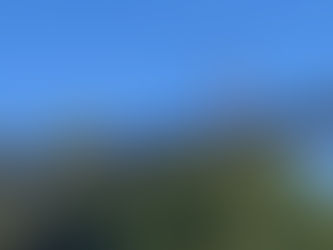 Un hombre rescata a un niño que estaba caminando sobre las vías del monorraíl en Hersheypark