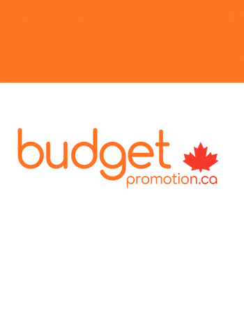 Success Story: Budget Promotions — Sold to an Internal Manager After a Market-Tested Process