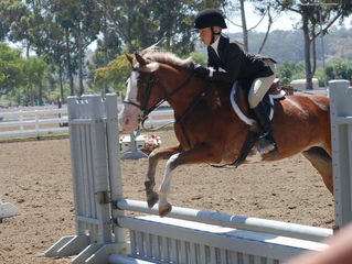 Hidden Fox Farm English Riding Lessons - El Cajon, CA
