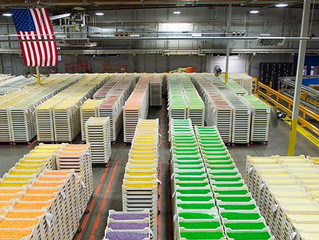 Free Jelly Belly Factory Tours