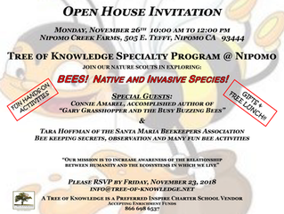 Become a "Nature Scout"