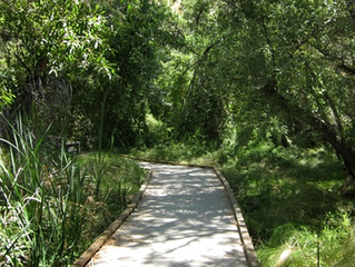 *CLOSED* Big Morongo Preserve Tour - Morongo Valley, CA