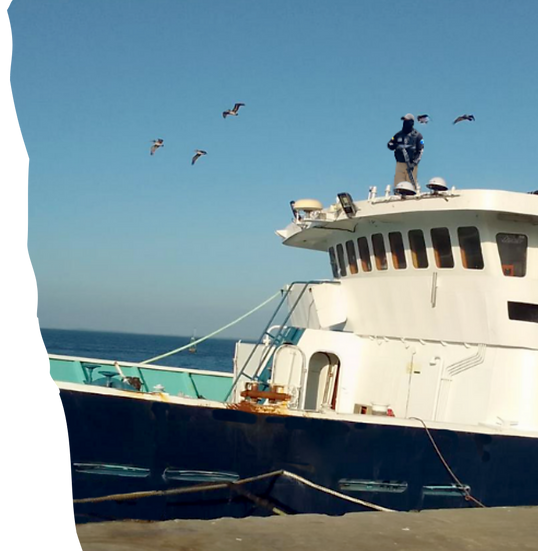 GUARDIA PROTECCION A FLOTA DE PESCA