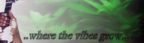 Good Vibes