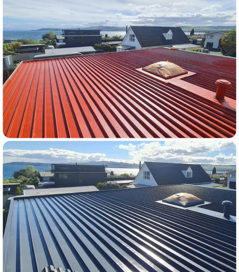 Taupō roof painter