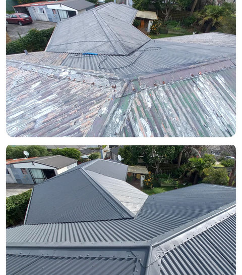 Roof painter Taupō