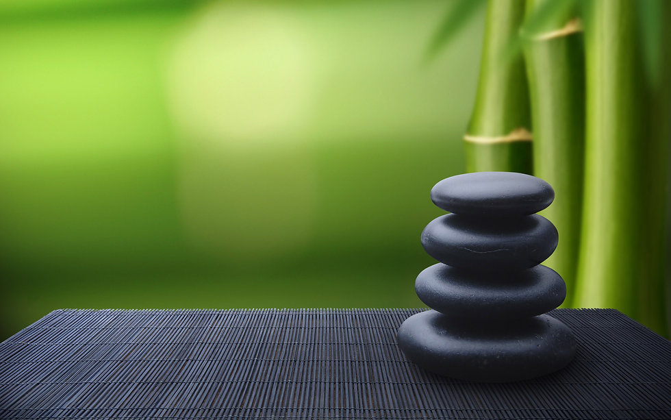 Rolf Structural Integration Denver Rolfing Denver Reiki Denver Lymphatic Drainage Therapy Denver