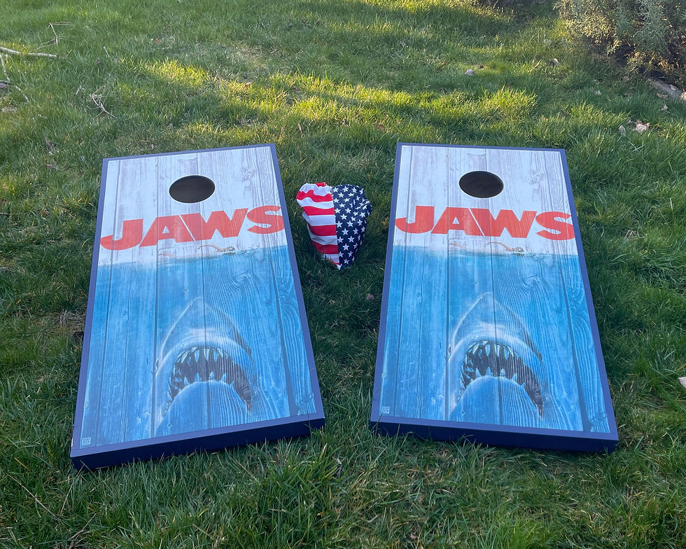 Cornhole Set