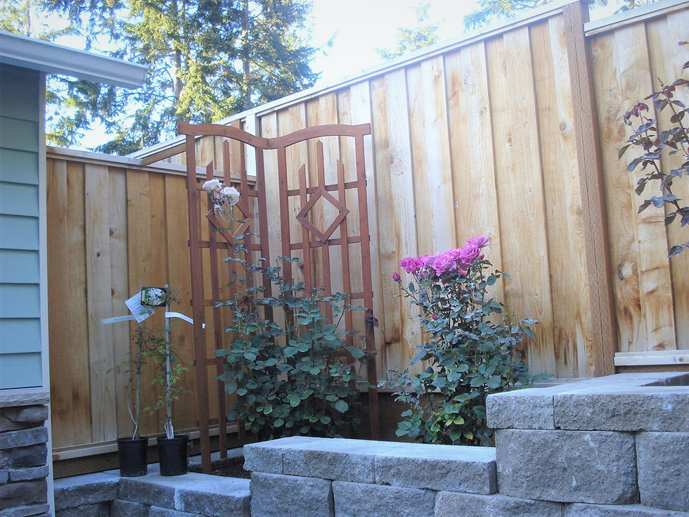 Retaining Wall 8