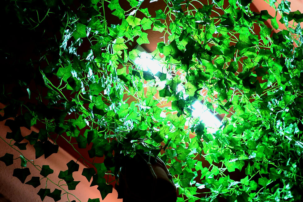 Bathroom Ceiling
