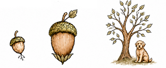 Acorn tree.png