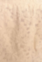 Thumbnail: LAC Lace Shorts natural