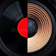 vinal 2
