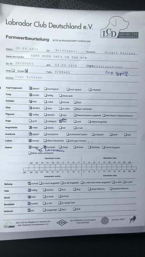 C5E3EDDB-7CC7-4C6A-9DEA-E8E69225B5A4.jpeg