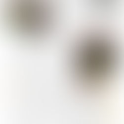 11月の通信ができました