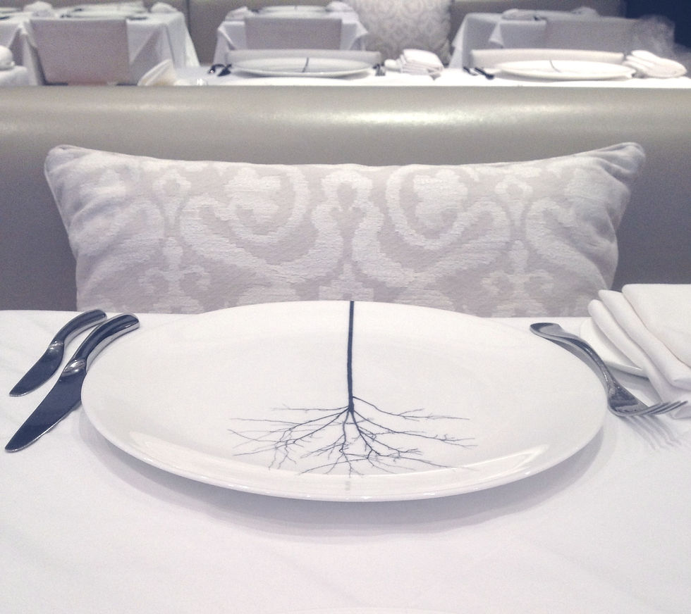 Custom Lumbar Pillows