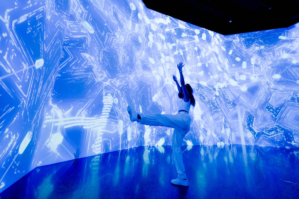 Art + Tech Exhibitions ARTECHOUSE Washington, DC