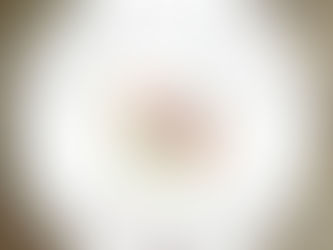 Introducing Wildwood...