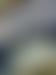 From my Sketchbook: Royal Posies