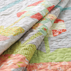 From my Sketchbook: Auriculas...