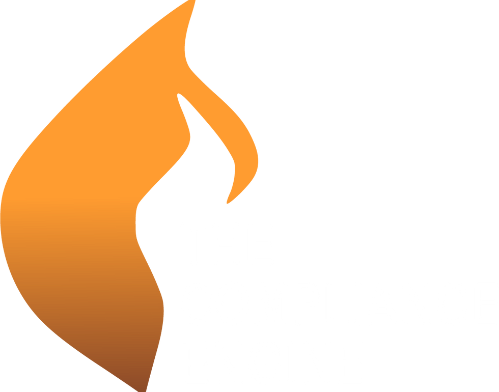 BRYCER_flame_white_transparent (2).png