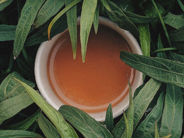 Rooted Mint Elixir: Tozzy Dandelion Fusion Iced Tea