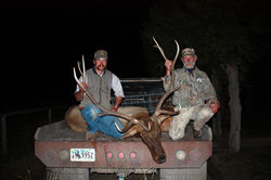 elk 15