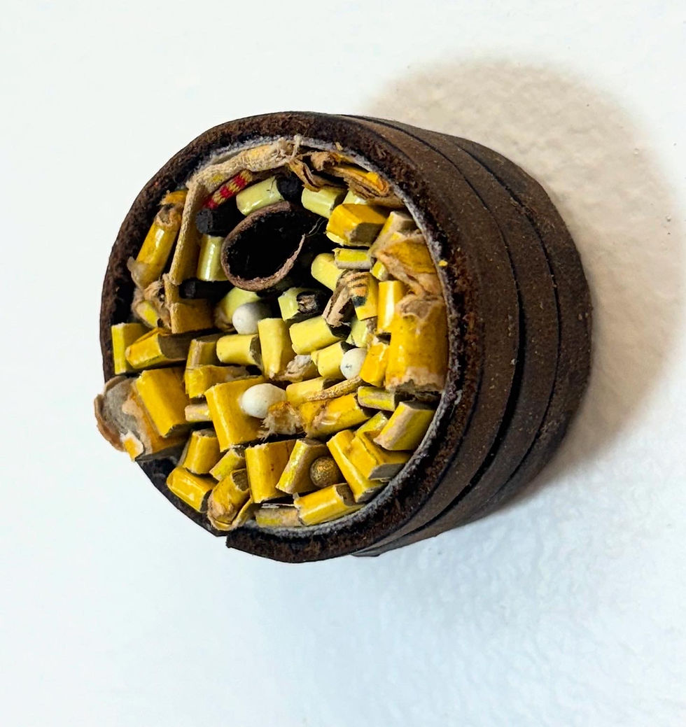 Thumbnail: Dandelion