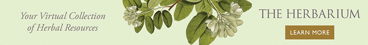 Certain Herbs May Deter Alzheimer's Disease