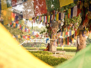 You are not your thoughts...