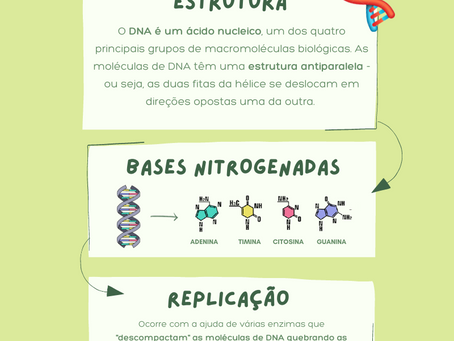 Conhecendo o DNA