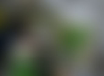 Qur Oni Karim Tarjimasi Pdf Download42 12