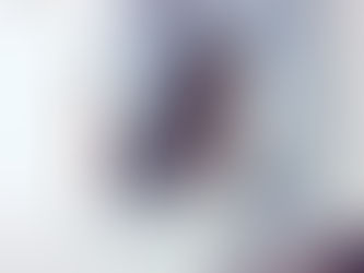 Nahum Mendez Sanchez Gastroenterologia Pdf 17 PATCHED